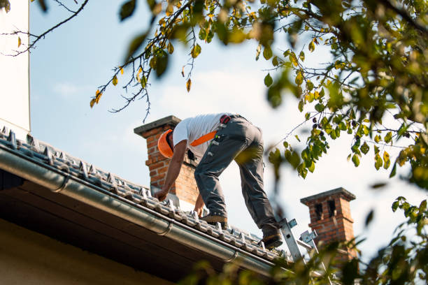 Quick and Trustworthy Emergency Roof Repair Services in Warsaw, VA